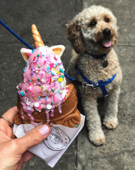 taiyaki