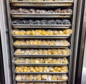 Pasta-Storage